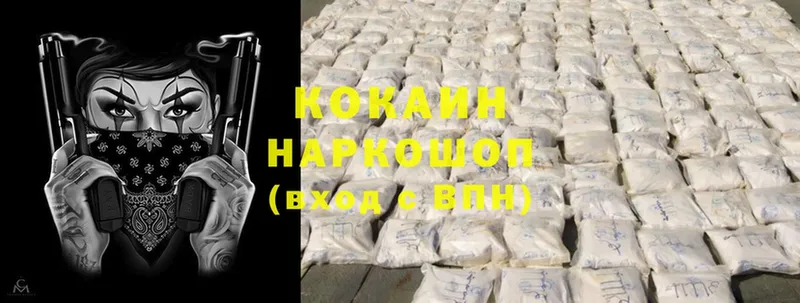 Cocaine Fish Scale  кракен онион  Краснослободск  купить наркоту 