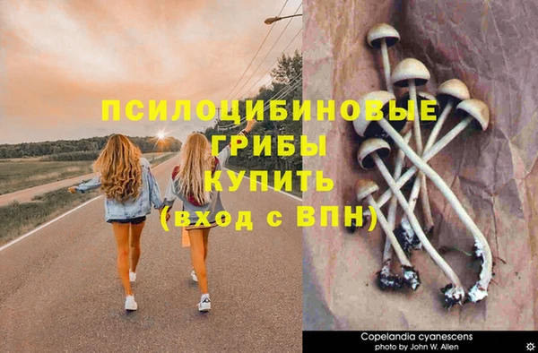 альфа пвп Богородск