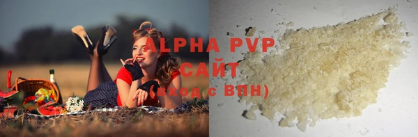 прущие грибы Богородицк