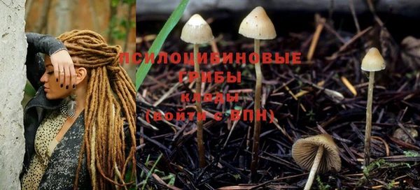 наркотики Няндома