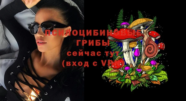 PSILOCYBIN Комсомольск