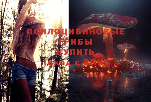 хмурый Нягань